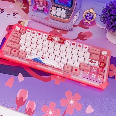 Akko Acrylic 67