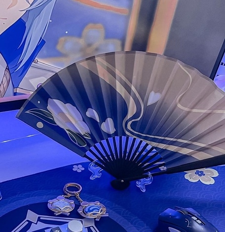 Ayaka Fan