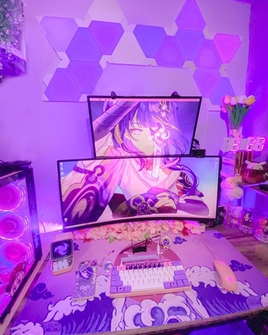 Raiden Shogun Setup