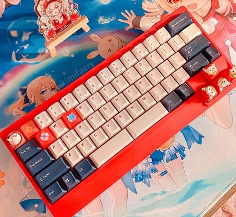 Keyboard - Leopold FC650MDS 